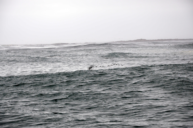 Melanie Heinrich Travel images Capetown -Shark diving Africa
